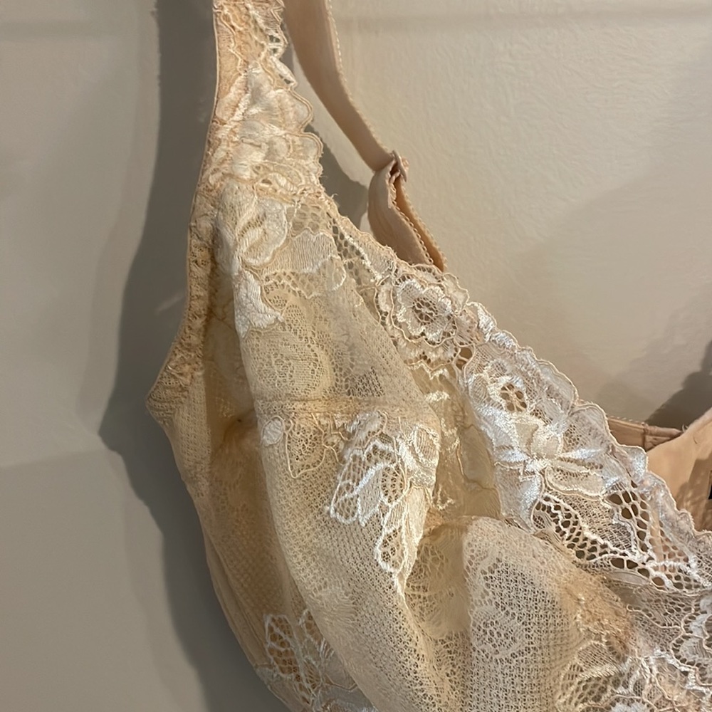 Paramour Bra - image 2